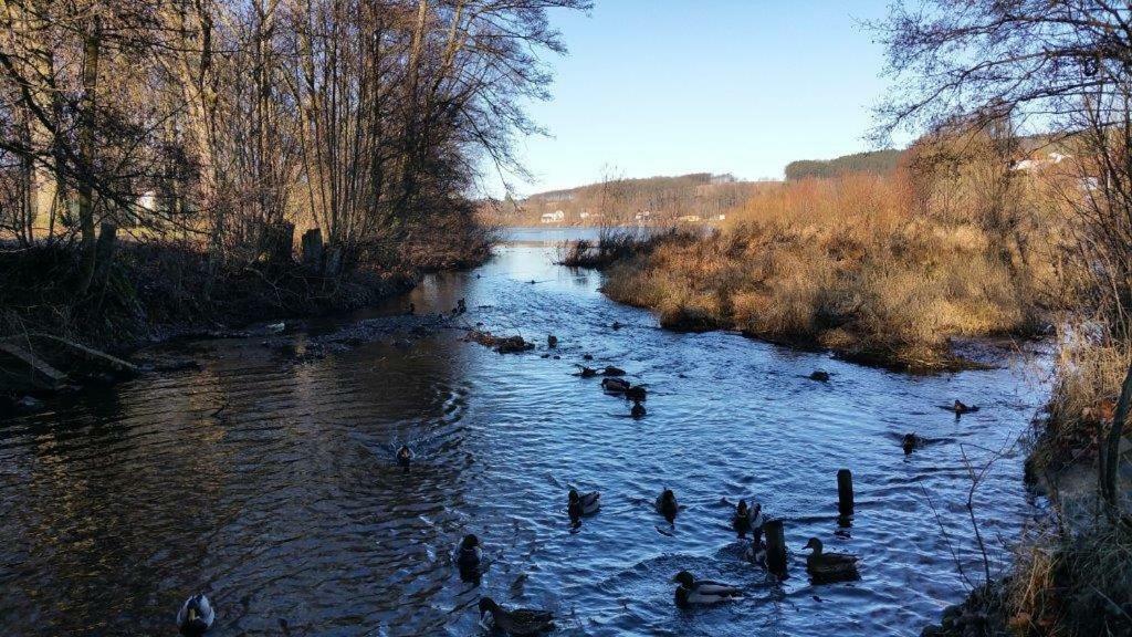 Ferienwohnung Am Sorpesee Allendorf  Kültér fotó