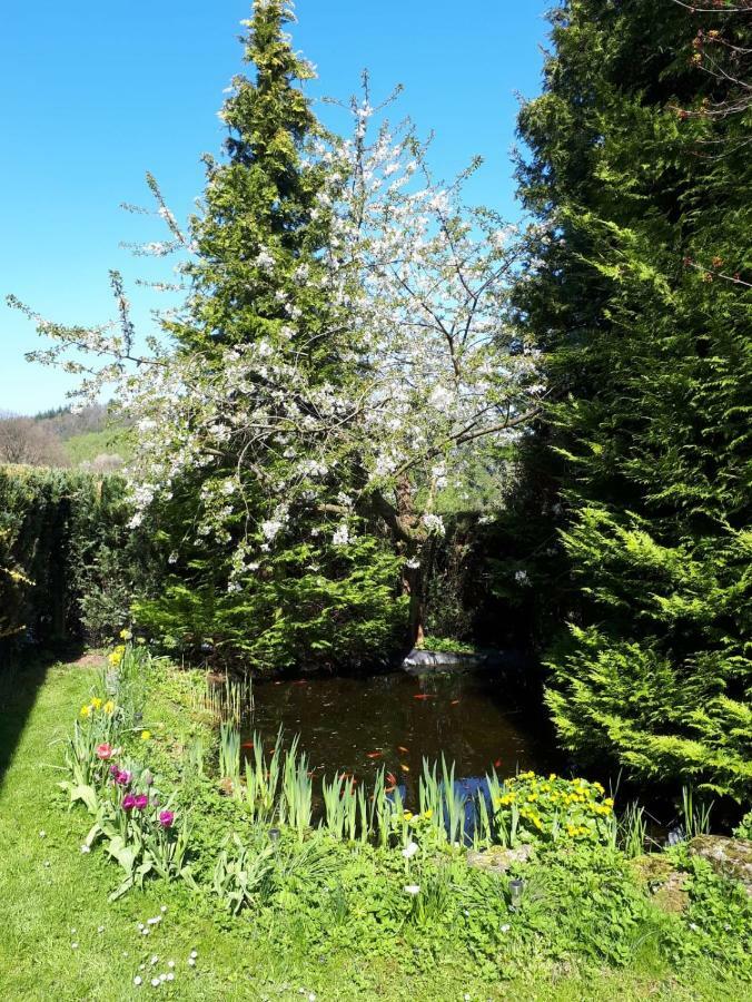 Ferienwohnung Am Sorpesee Allendorf  Kültér fotó